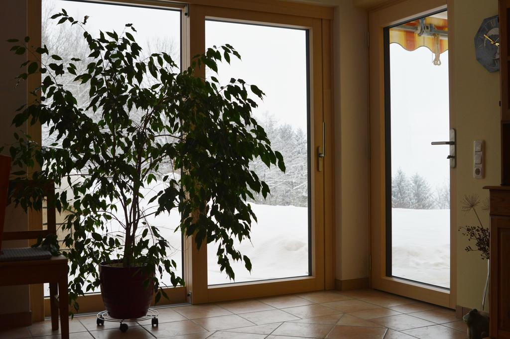 Haus Margit Lägenhet Schlierbach Exteriör bild