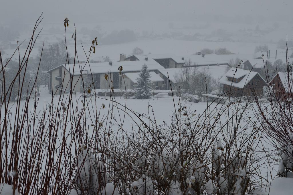 Haus Margit Lägenhet Schlierbach Exteriör bild