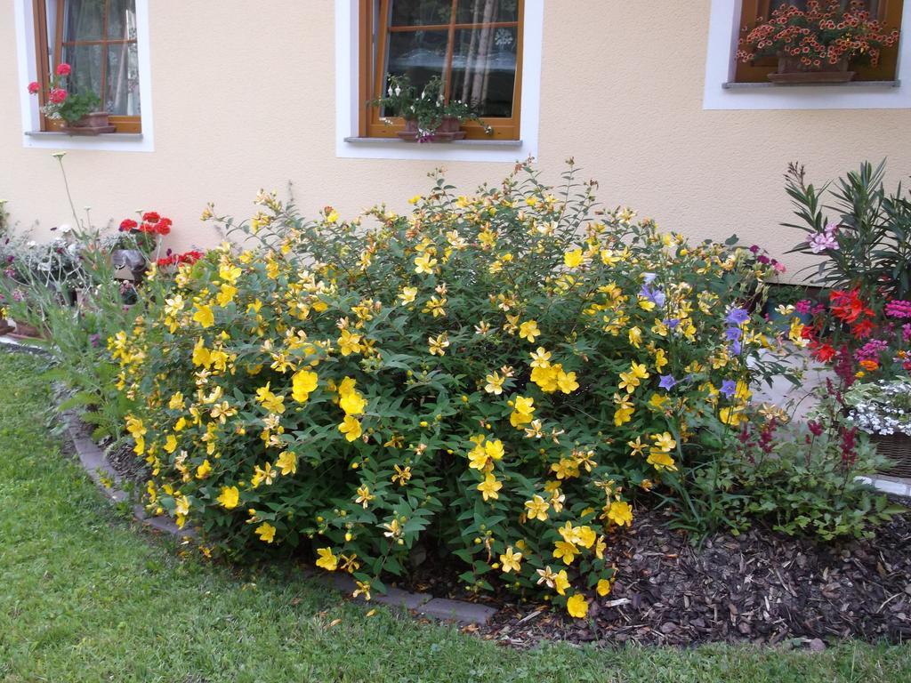 Haus Margit Lägenhet Schlierbach Exteriör bild