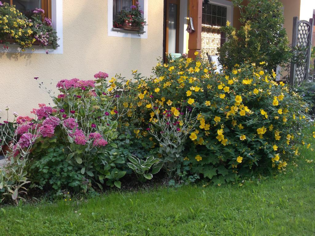 Haus Margit Lägenhet Schlierbach Exteriör bild